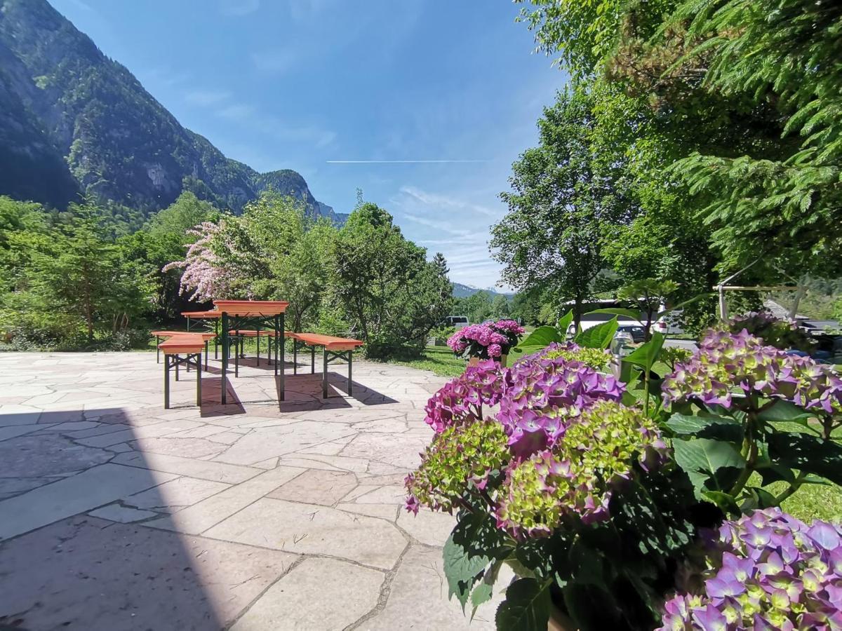 Pension Almhof Baumgarten บาดไรเฮนฮัล ภายนอก รูปภาพ