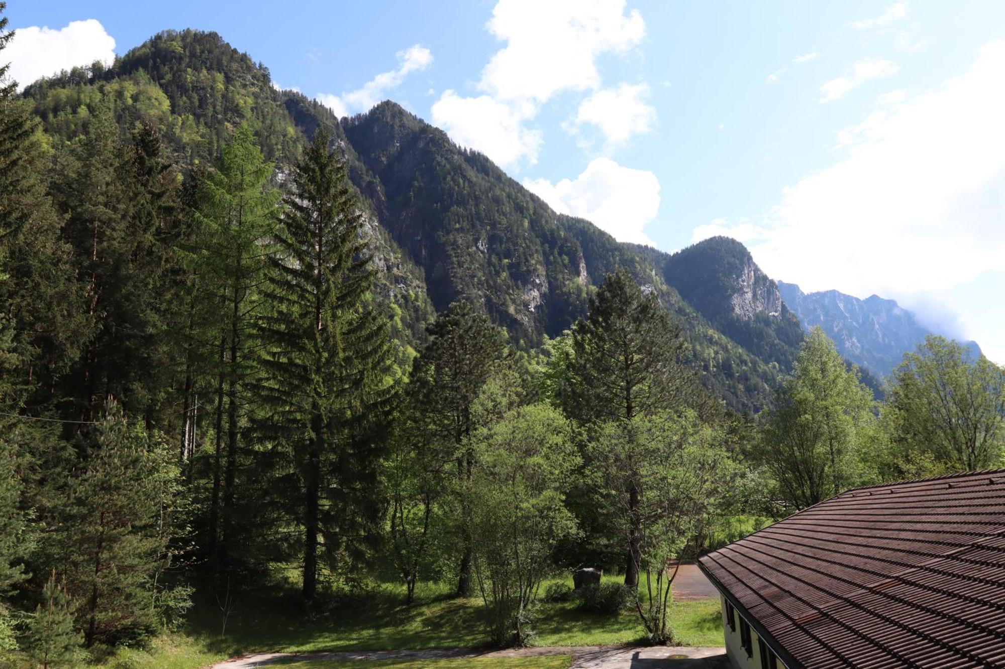 Pension Almhof Baumgarten บาดไรเฮนฮัล ภายนอก รูปภาพ